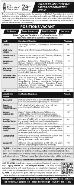 The University of Faisalabad Jobs 2026