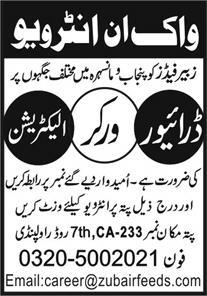Zubair Feed , Punjab and Mansehra Jobs 2026