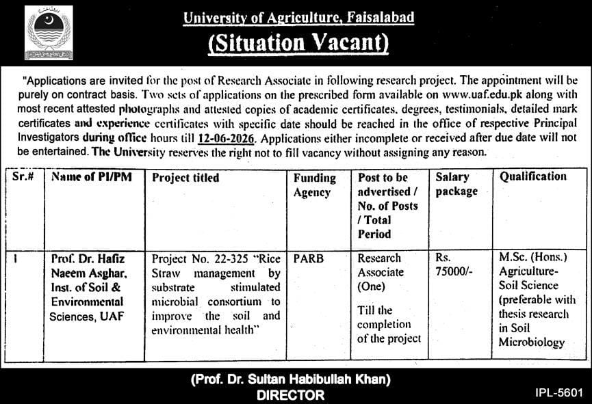 University of agriculture , Faisalabad Jobs 2026