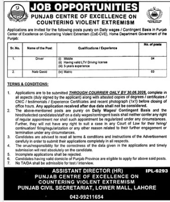 Punjab Center of Excellence on Countering Violent extremism Jobs 2026