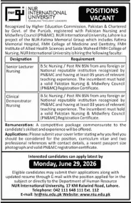 NUR International University Jobs 2026