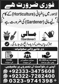 Lahore horticulture Work Jobs 2026