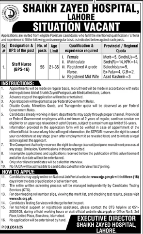Sheikh Zayed Hospital , Lahore Jobs 2026