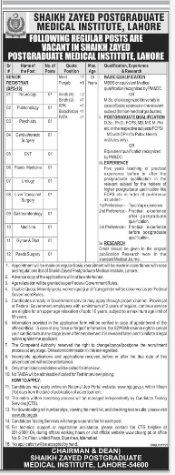 Sheikh Zayed Postgraduate Medical Institute , Lahore Jobs 2026