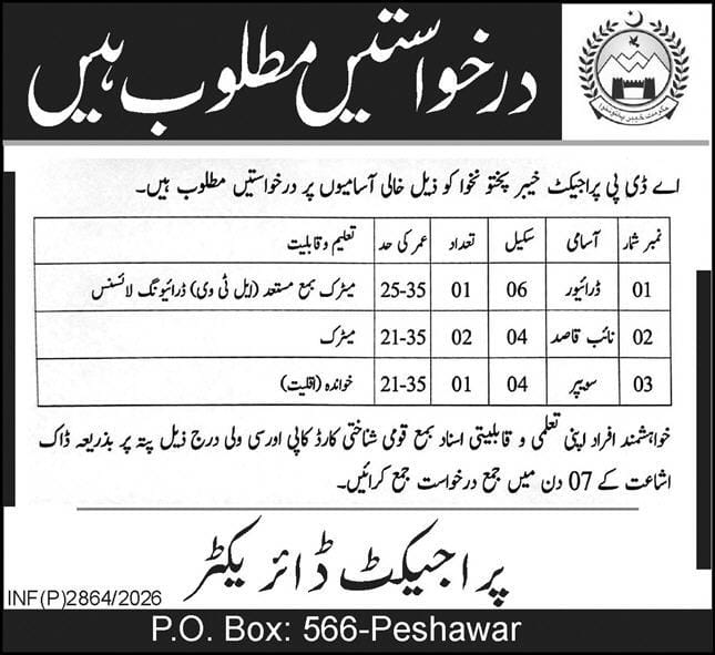 ADP Project KPK  Jobs 2026
