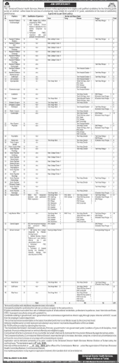 Mekran Director Health Services Jobs 2026