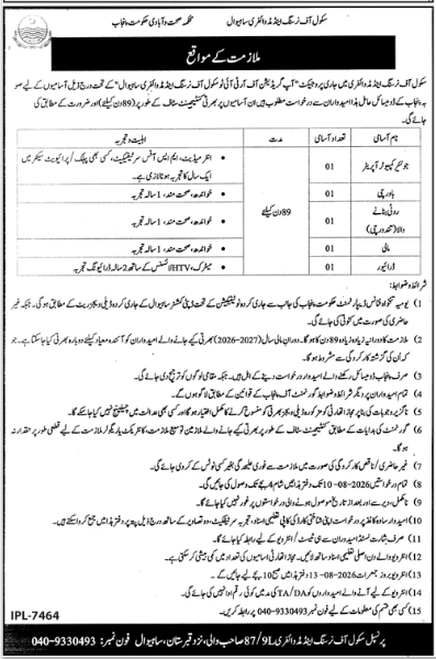 School of Nursing and Midwifery , Sahiwal Jobs 2026
